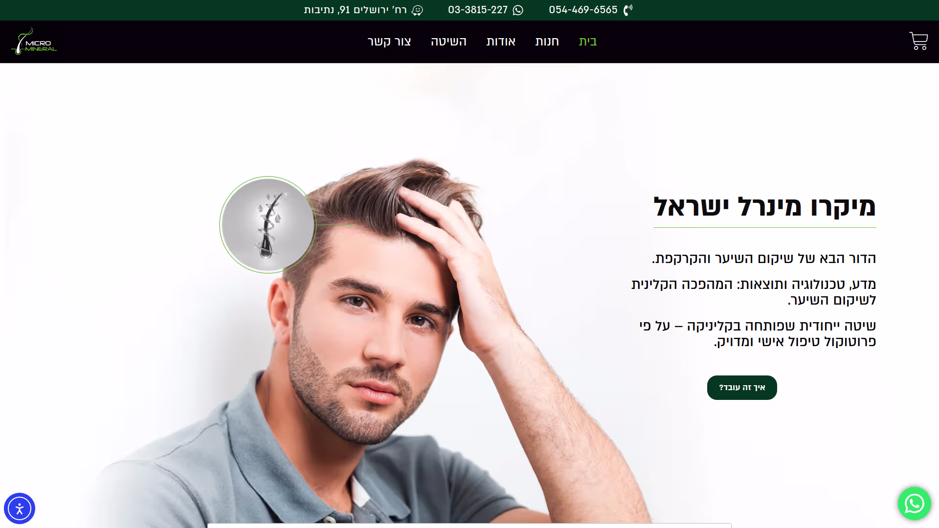 Screenshot of the Micro Mineral accessible home page